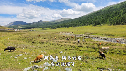 盛夏阿勒泰·走马观花自驾游