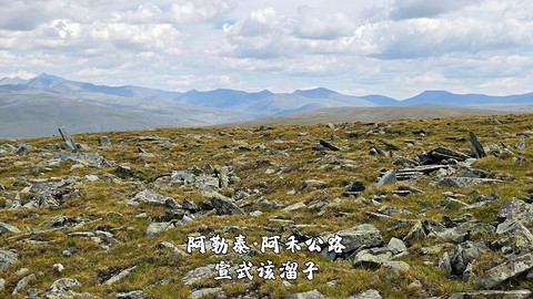 盛夏阿勒泰·走马观花自驾游