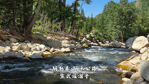 盛夏阿勒泰·走马观花自驾游