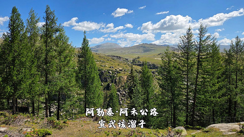 盛夏阿勒泰·走马观花自驾游