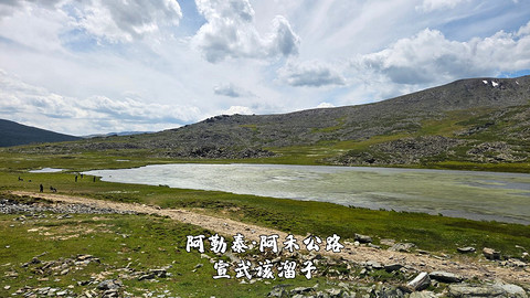 盛夏阿勒泰·走马观花自驾游