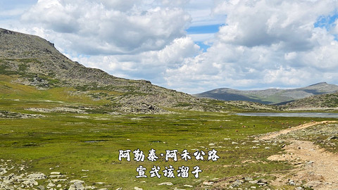盛夏阿勒泰·走马观花自驾游