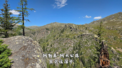 盛夏阿勒泰·走马观花自驾游