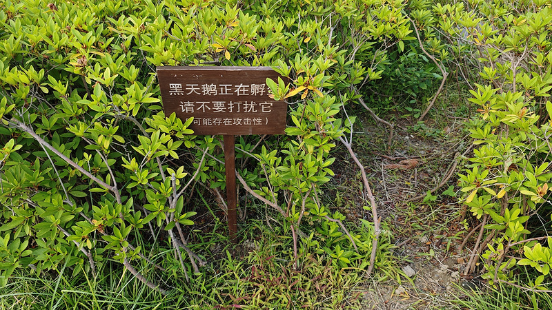 鎵窞 (14).jpg 鎵窞 (14).jpg