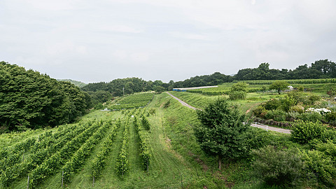 JR東日本 | TRAIN SUITE 四季島 | 2025 夏 长野行程 | 不飞行报告