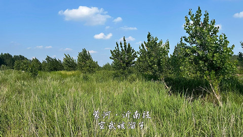 拍山东·临沂的水