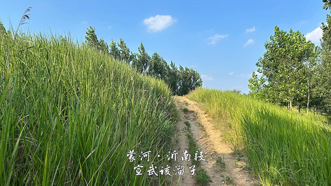 拍山东·临沂的水