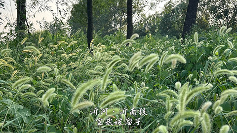 拍山东·临沂的水