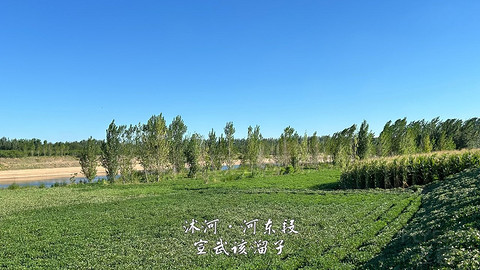 拍山东·临沂的水
