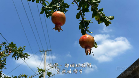 拍山东·临沂的水