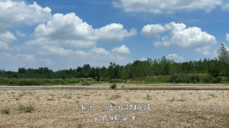 41.jpg 41.jpg