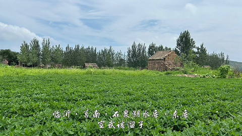 拍山东·临沂的水
