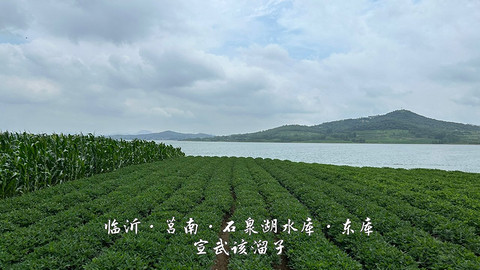 拍山东·临沂的水
