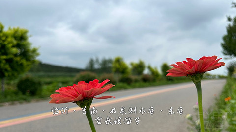 拍山东·临沂的水
