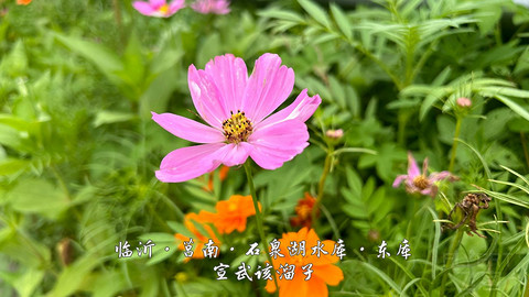拍山东·临沂的水