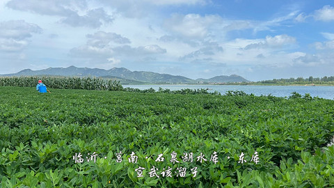 拍山东·临沂的水