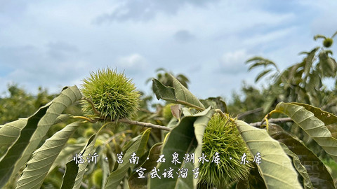 拍山东·临沂的水