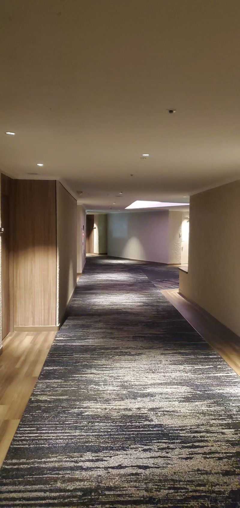 楼内1.jpg