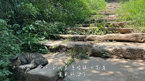 山水广元·四川张家口·媚娘蜀道山