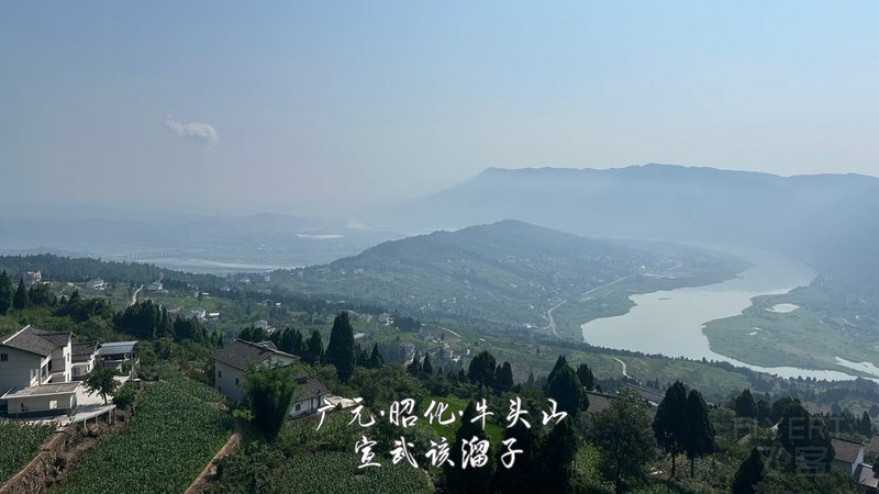 11.jpg 11.jpg