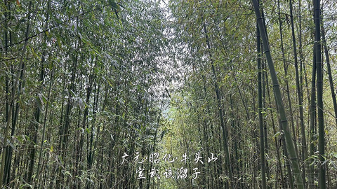 山水广元·四川张家口·媚娘蜀道山