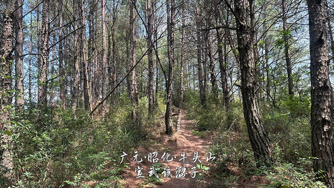 山水广元·四川张家口·媚娘蜀道山
