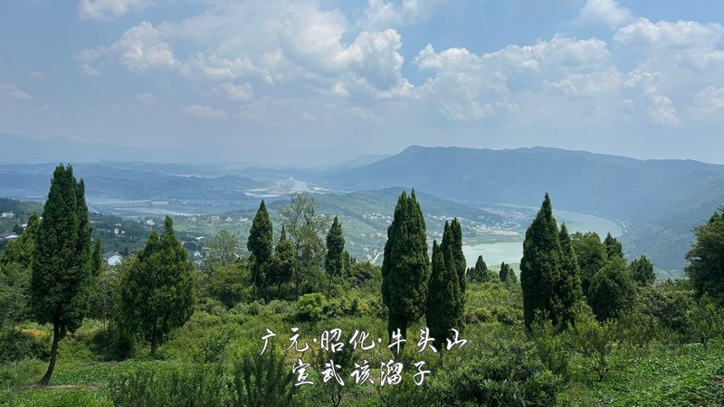 16.jpg 16.jpg