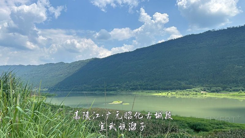 24.jpg 24.jpg