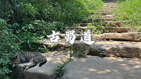 山水广元·四川张家口·媚娘蜀道山
