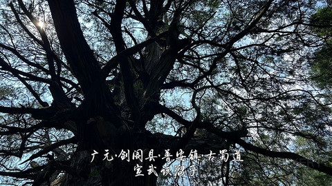 山水广元·四川张家口·媚娘蜀道山