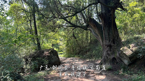 山水广元·四川张家口·媚娘蜀道山