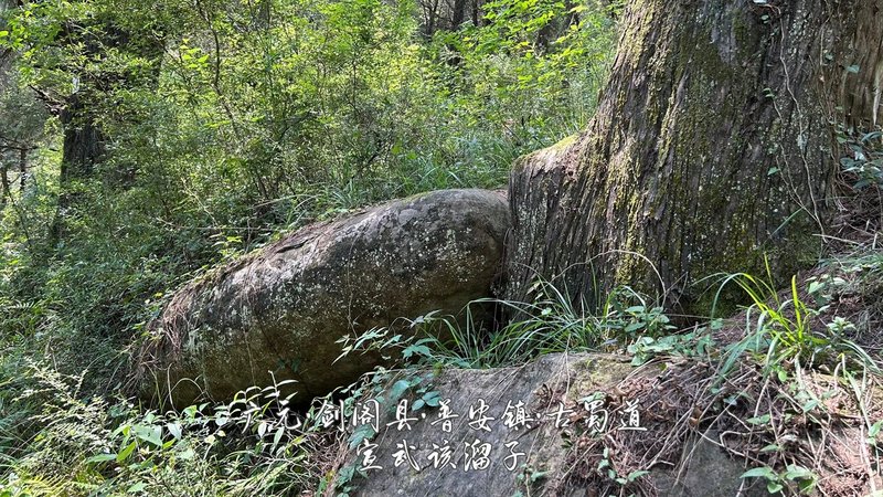 34.jpg 34.jpg