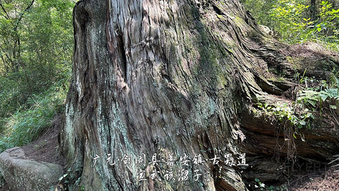 山水广元·四川张家口·媚娘蜀道山