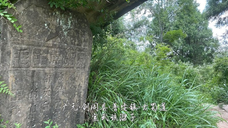 46.jpg 46.jpg