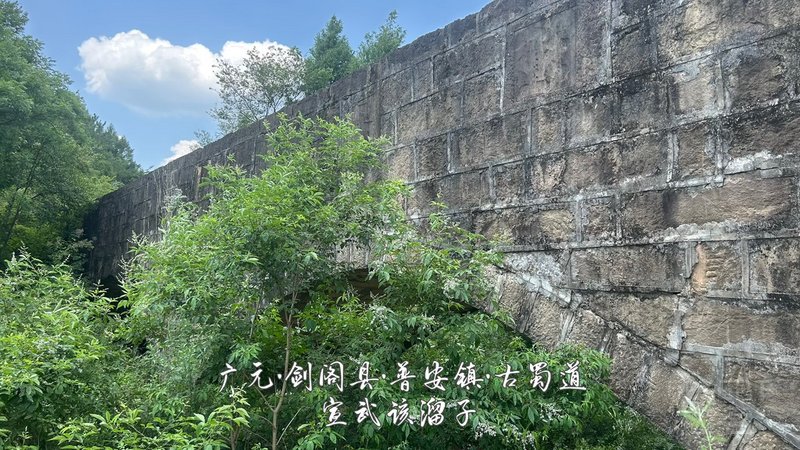 45.jpg 45.jpg