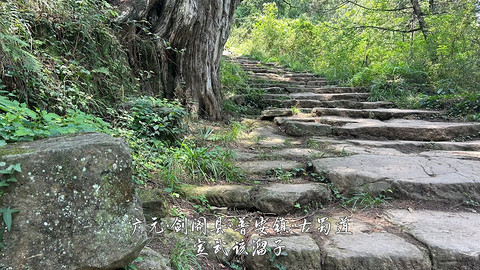 山水广元·四川张家口·媚娘蜀道山