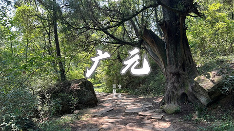 山水广元·四川张家口·媚娘蜀道山