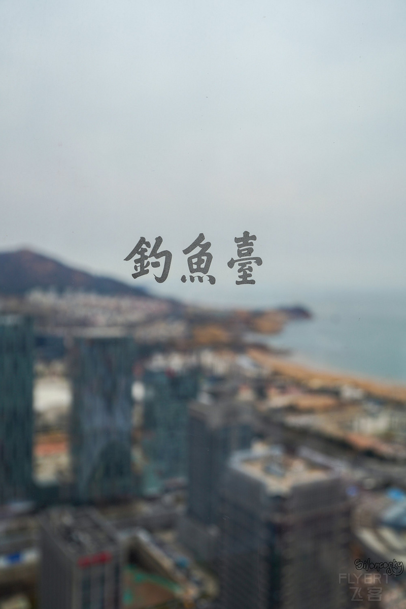 DSC09709.jpg