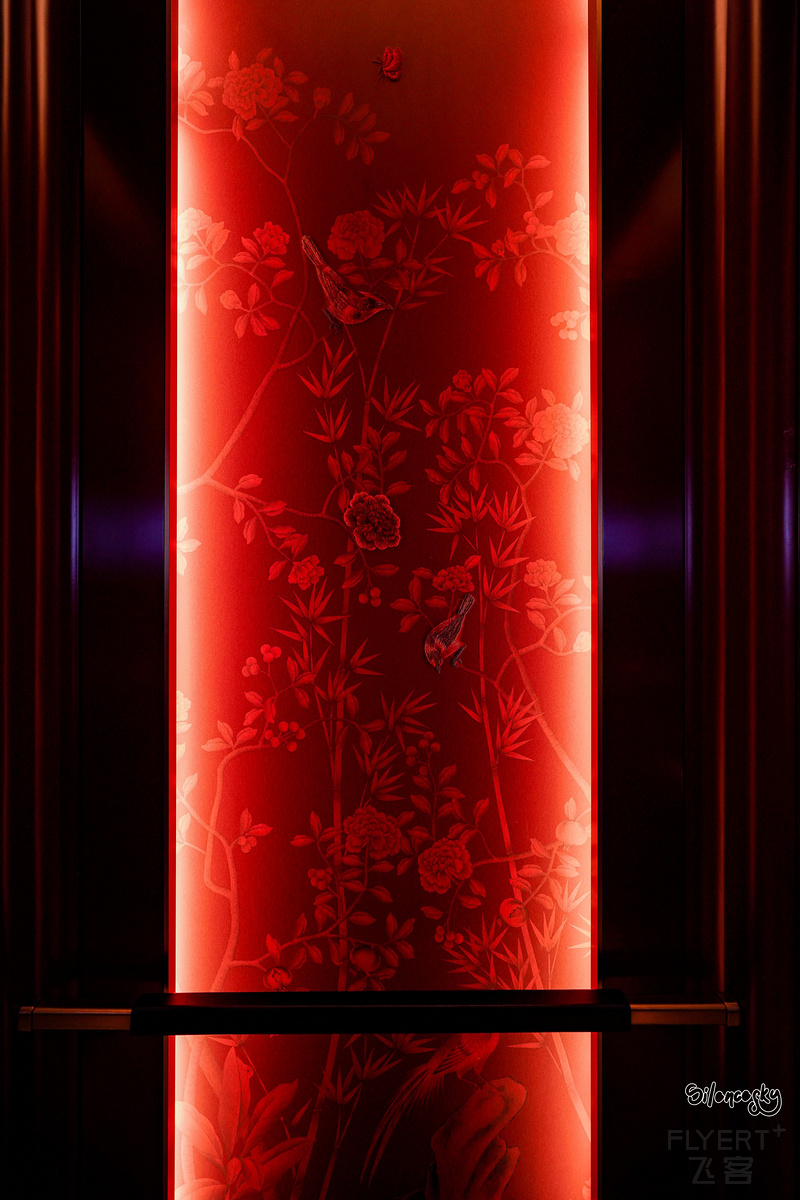 DSC09677.jpg