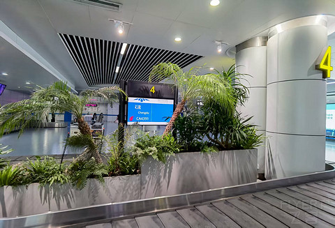 国航CA4391成都双流—长沙黄花 A321公务舱体验