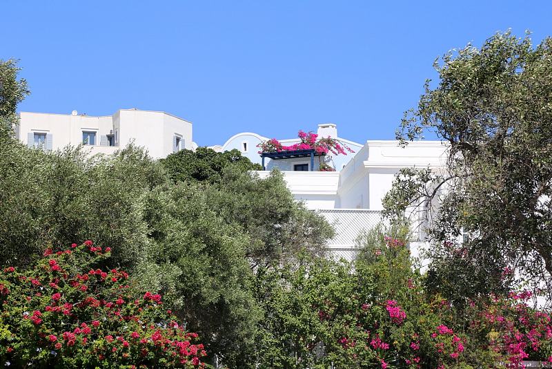 Santorini--Megalochori (2).JPG