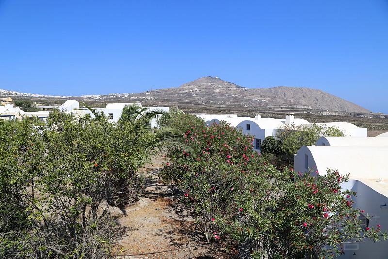 Santorini--Vedema a Luxury Collection Resort Outdoor Garden (1).JPG