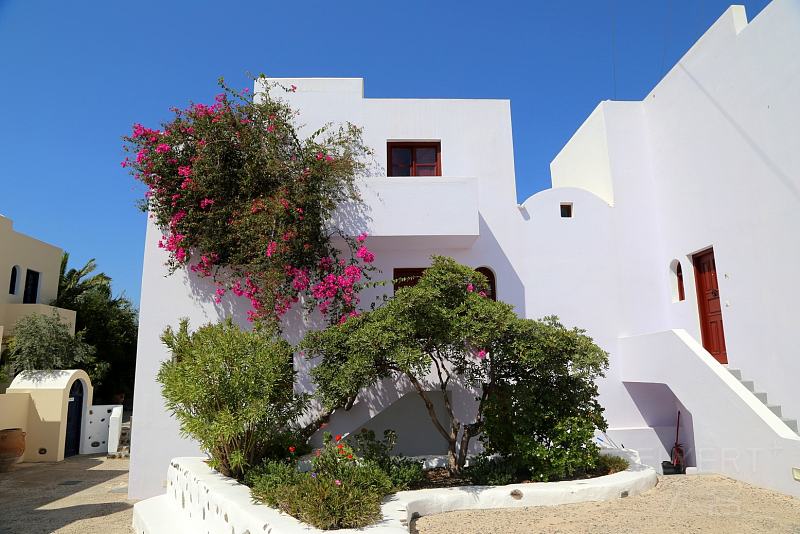 Santorini--Vedema a Luxury Collection Resort Outdoor Garden (2).JPG