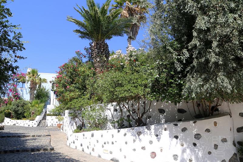 Santorini--Vedema a Luxury Collection Resort Outdoor Garden (5).JPG
