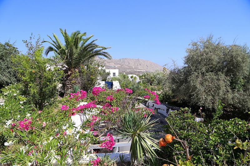 Santorini--Vedema a Luxury Collection Resort Outdoor Garden (32).JPG