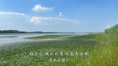 拍山东·潍坊的水