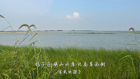 拍山东·潍坊的水