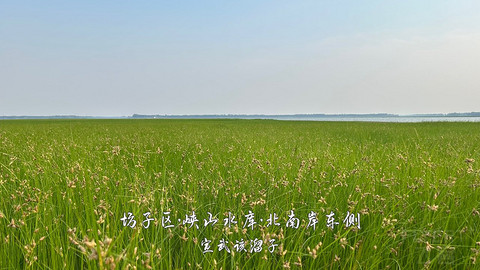 拍山东·潍坊的水