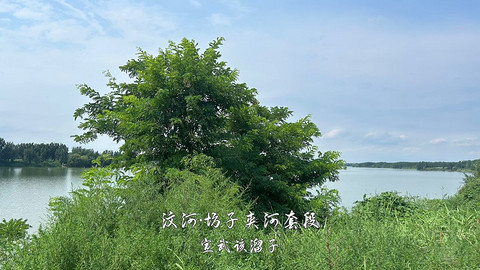 拍山东·潍坊的水