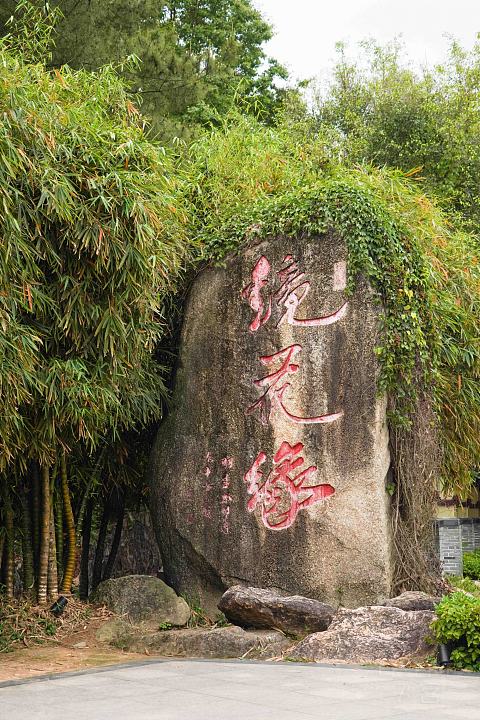 人间万绿湖——河源汇景希尔顿逸林